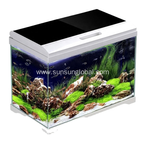 Good Quality Efficiently Aquarium Accessories China